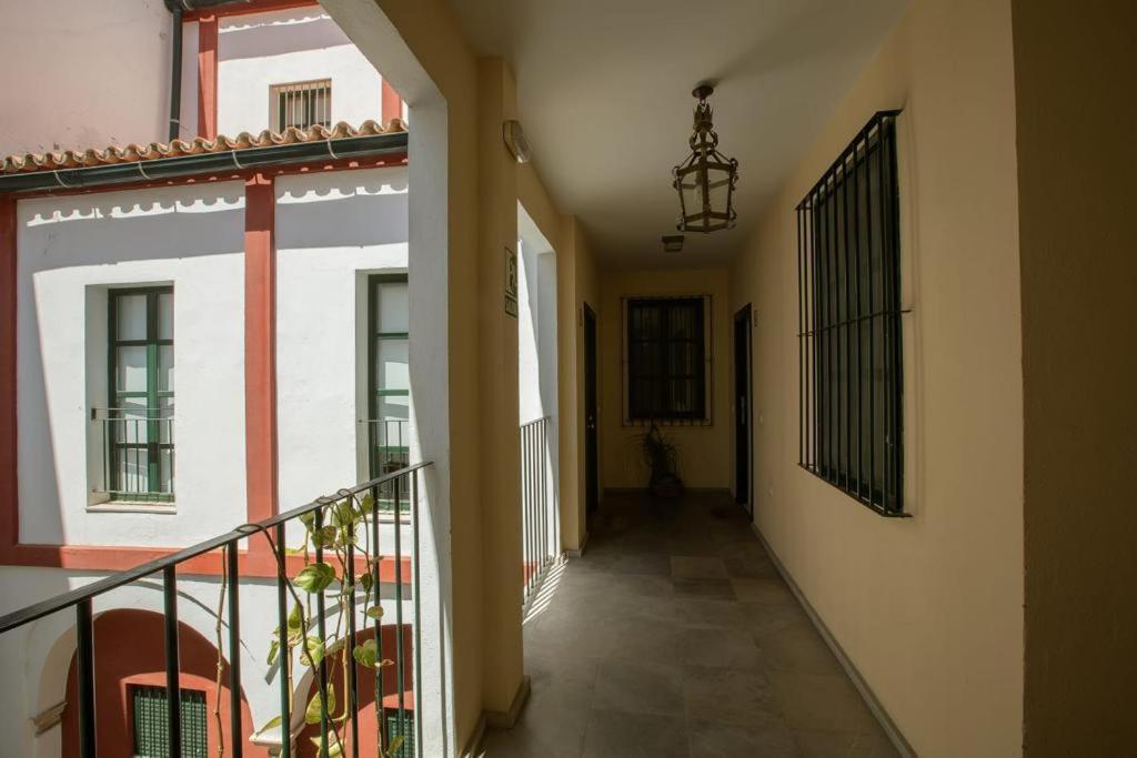 Vidrio Deluxe * Sevilla